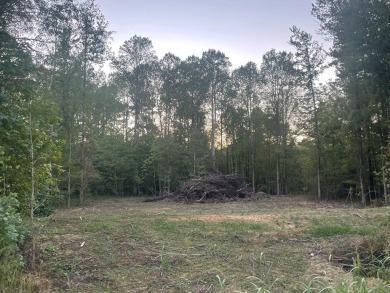 Lake Lot For Sale in Oxford, Mississippi