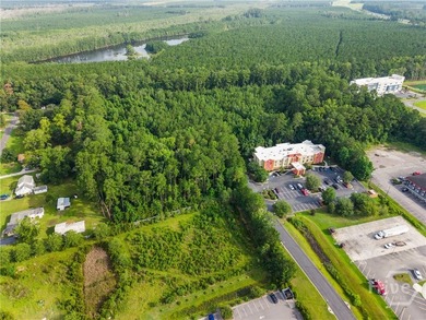 Richmond Hill, GA 31324 presents a compelling opportunity for - photo 3