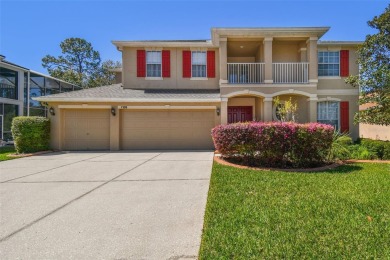 Lake Home For Sale in Land O Lakes, Florida