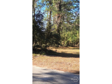 Own and old piece of Darien land! Could be rezoned for - photo 3