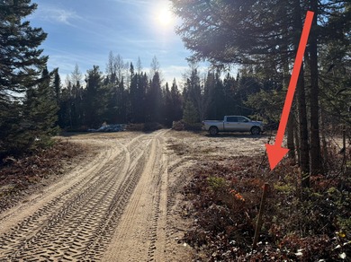 (private lake, pond, creek) Acreage For Sale in Hulbert Michigan