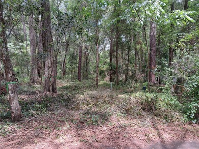 Bivens Arm Lake Lot For Sale in Gainesville Florida