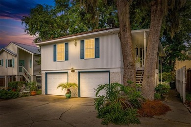 (private lake, pond, coastal) Home Active Under Contract in Saint Simons Georgia