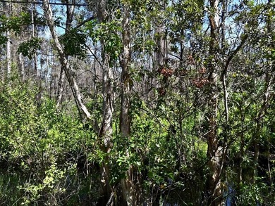 Vacant 1.25-acre parcel located off Dyer Road in St. Lucie - photo 3