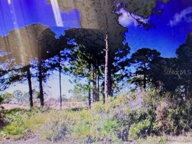 Seeking a Developer/Builder: The subject property is at the - photo 4