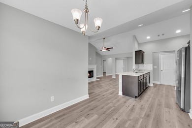 Welcome to your new home at 3068 Mt Hebron Rd! Built in 2022 and - photo 16