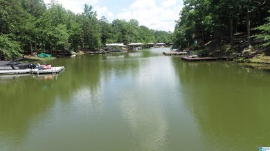 Rare property located on Piney Woods Creek. This property has a - photo 19