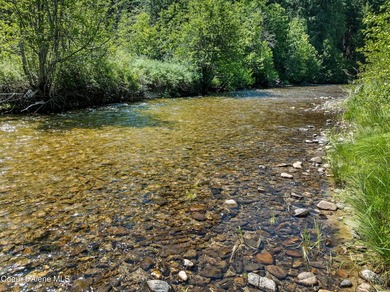 Tucked along 180 feet of Granite Creek frontage, this rare 1 - photo 35