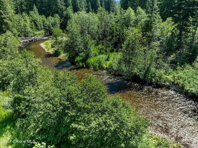 Tucked along 180 feet of Granite Creek frontage, this rare 1 - photo 37
