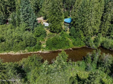 Tucked along 180 feet of Granite Creek frontage, this rare 1 - photo 41