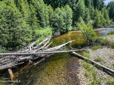 Tucked along 180 feet of Granite Creek frontage, this rare 1 - photo 42