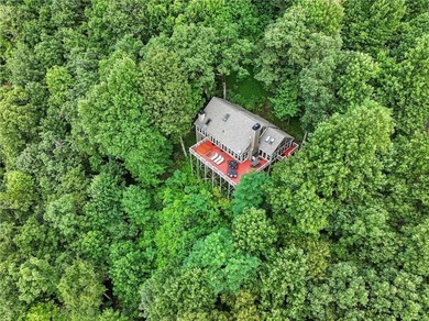THAT VIEW . . . This perfect mountain cabin sits at over 3000 - photo 47