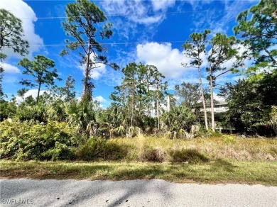 Lake Lot For Sale in Punta Gorda, Florida