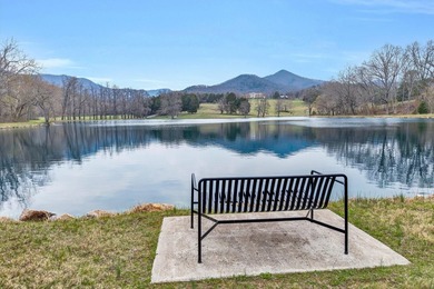 A rare Virginia legacy estate once considered for a presidential - photo 14