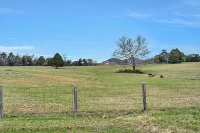 A rare Virginia legacy estate once considered for a presidential - photo 17