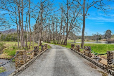 A rare Virginia legacy estate once considered for a presidential - photo 19