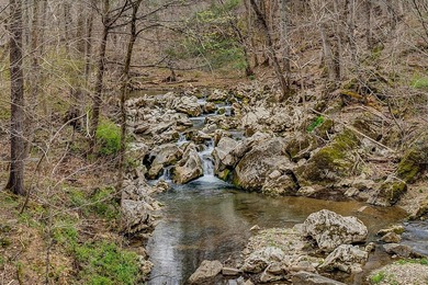 A rare Virginia legacy estate once considered for a presidential - photo 25