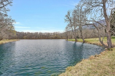 A rare Virginia legacy estate once considered for a presidential - photo 29