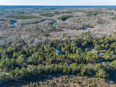 (private lake, pond, coastal) Home For Sale in White Oak Georgia