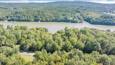 Looking for the perfect lakeside retreat? This lot on Runaway - photo 12