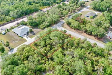 Build your custom Florida home on this oversized .28-acre corner - photo 12