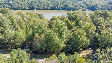 Looking for the perfect lakeside retreat? This lot on Runaway - photo 13