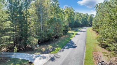 Looking for the perfect lakeside retreat? This lot on Runaway - photo 16