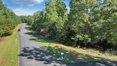 Looking for the perfect lakeside retreat? This lot on Runaway - photo 17