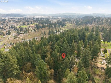 Welcome to 6337 SE Brownlee Rd! Nestled on nearly a full acre in - photo 46
