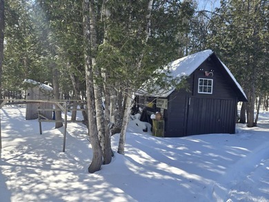 Main camp built in the 1960's with drilled well and septic. A - photo 5