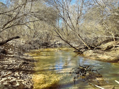 (private lake, pond, coastal) Acreage For Sale in Greenwood South Carolina