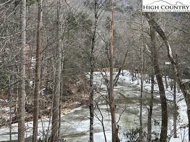 (private lake, pond, coastal) Lot For Sale in Banner Elk North Carolina