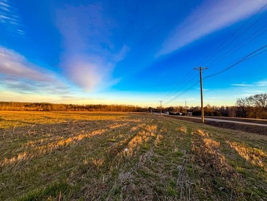 This stunning property features more than 1,300 feet of frontage - photo 7
