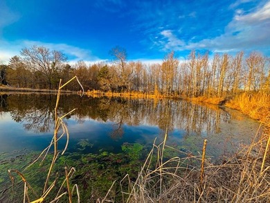 This stunning property features more than 1,300 feet of frontage - photo 9
