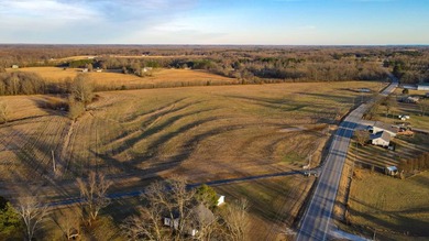 This stunning property features more than 1,300 feet of frontage - photo 10
