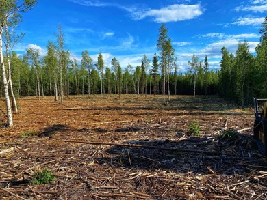 Salcha River Acreage For Sale in Delta Junction Alaska