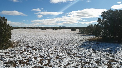 (private lake, pond, creek) Lot For Sale in Snowflake Arizona