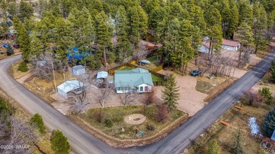 (private lake, pond, creek) Home For Sale in Lakeside Arizona