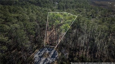 South Newport River - McIntosh County Lot For Sale in Townsend Georgia