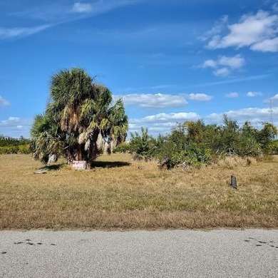 Rotunda Meadows Lakes  Lot For Sale in Port Charlotte Florida