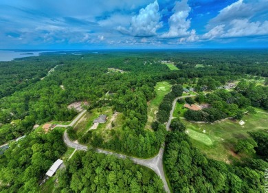 Lake Lot For Sale in Brookeland, Texas