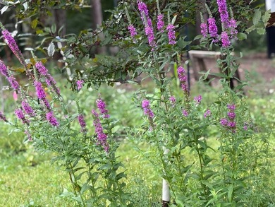 Escape to the beauty of the Northwoods with this one-of-a-kind - photo 30
