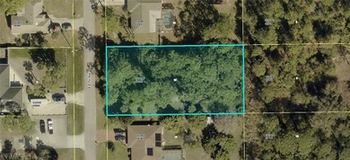 Lehigh Acres Area Lot For Sale in Lehigh Acres Florida