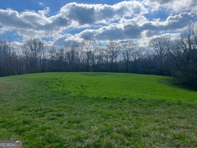 (private lake, pond, coastal) Acreage For Sale in Talking Rock Georgia