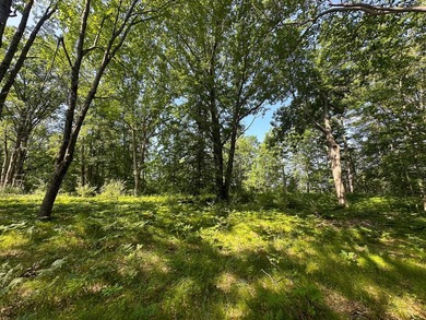 Don't miss this outstanding 40-acre recreational property in the - photo 11