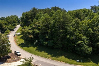 This gorgeous lot, which is just across the road from the lake - photo 12