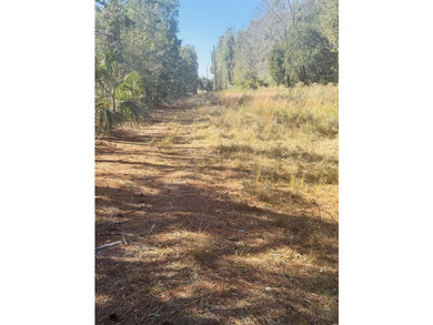 Discover the beauty and serenity of Edisto Island with this - photo 12