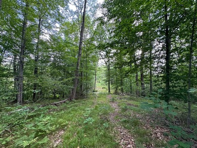 Don't miss this outstanding 40-acre recreational property in the - photo 12