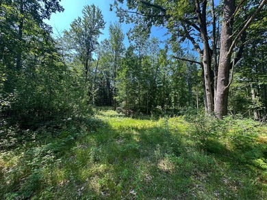 Don't miss this outstanding 40-acre recreational property in the - photo 13