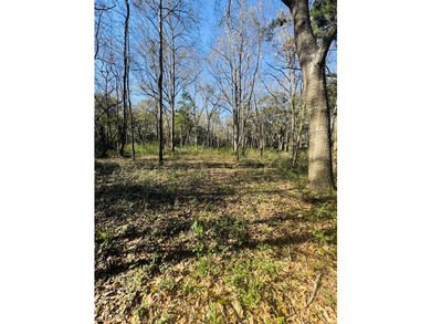 Discover the beauty and serenity of Edisto Island with this - photo 14